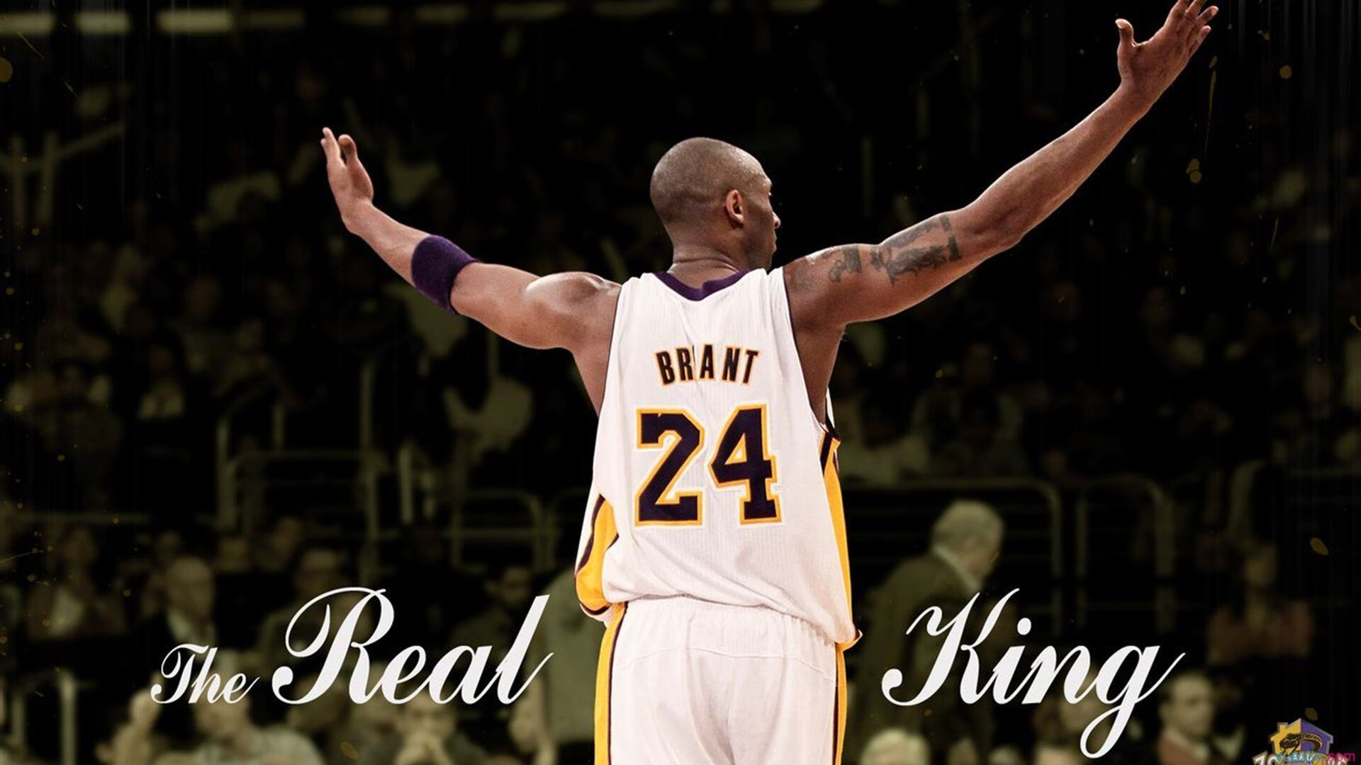 现场氛围:球迷歌声雷动,场内热情高涨!,足球场球迷唱的歌